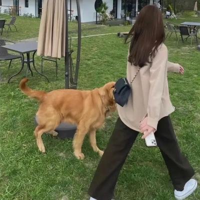 女王密使